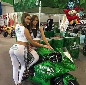 Meet your Posher, Bladimir